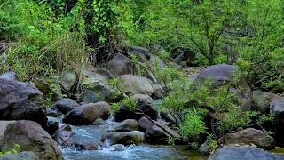 The sound of a flowing stream is gentle and soothing to help you sleep.