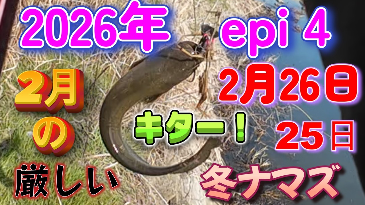 2月26日25日のナマズ釣り🎣2月厳しい冬ナマズ😱キター！🤩1バイチュー
