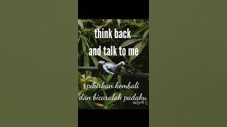 Perfect lirik terjemahan untuk story wa