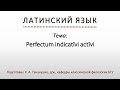 Латинский язык. Lingua Latina. Perfectum indicatīvi actīvi