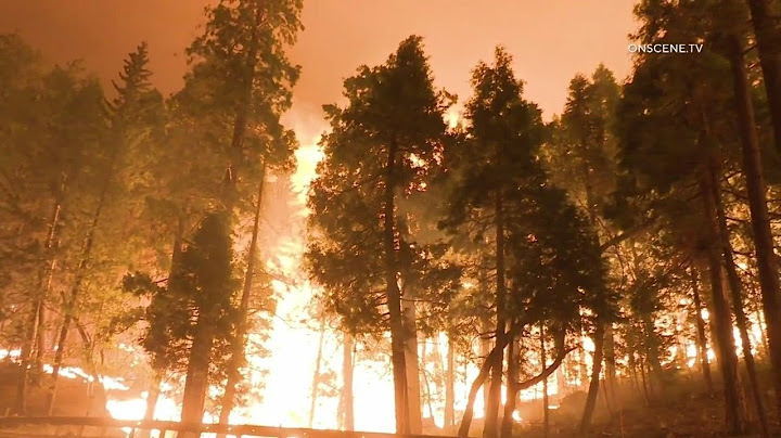 Wildfires Continue to Scorch In The Last 24 Hours
