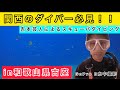 第６回GoPro初心者が水中撮影をしてみたら【GoProHERO 8】【スキューバダイビング】【古座】