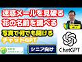 【詐欺メール見破る】【花の名前を調べる】カメラで撮るだけ！ChatGPTがシニアの不安を一瞬で解消