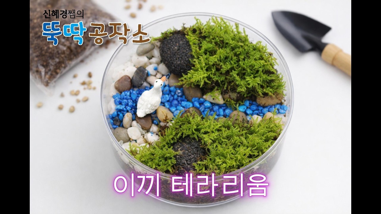 깃털이끼 테라리움 만들기