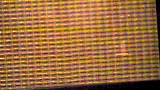 Video 4