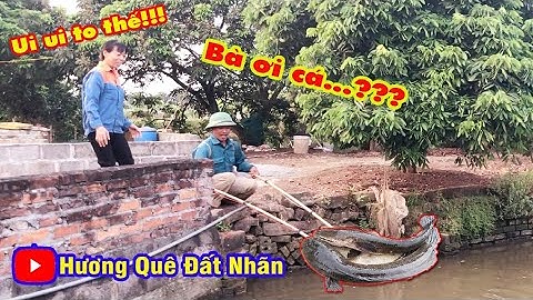 Cận Cảnh Kích Cá Ngoài Mương Toàn Cá Khủng - HQĐN