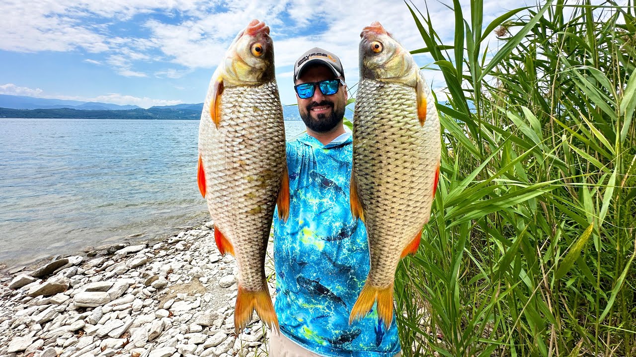 Мы высыпали ведро приманки в озеро Сапанджа и прошли сквозь рыбу!!