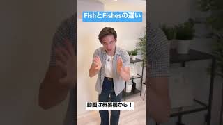 【英語で魚は？】fishとfishesの違い #Shorts