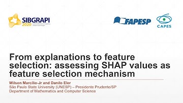 From explanations to feature selection: assessing SHAP values as feature selection mechanism