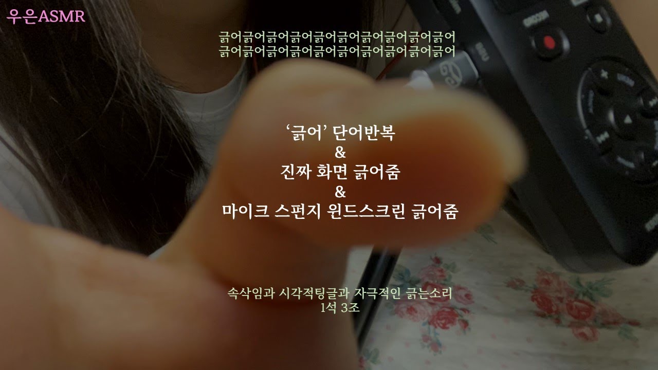 [단어반복 ASMR] 다 긁어드림! 화면도 마이크도 소리도 내드림. 긁어 긁긁 단어반복과 시각적 팅글과 자극적인 마이크 긁기