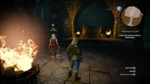 The Witcher 3: Wild Hunt jumping glitch