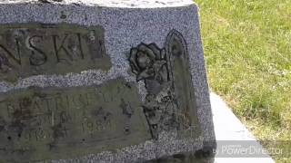 WET & FORGET ALGAE KILLER !!! Great for cleaning headstones. Check it out.