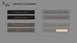 5  Introducing Variables & Constants