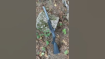 Sneak Peak: CVA Scout 300BLK #shorts