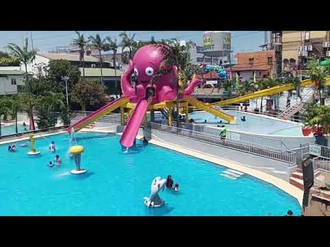 Volet's Resort