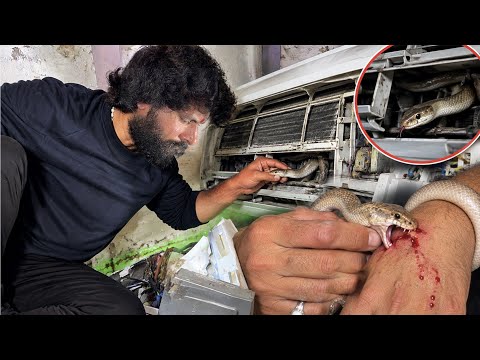 AC में घुसा सांप को कैसे रेस्क्यू किया गया! How the snake that got into the AC was rescued! 😱