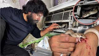 AC में घुसा सांप को कैसे रेस्क्यू किया गया! How the snake that got into the AC was rescued! 😱 — video thumbnail