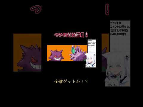 やっぱ金鯉じゃなくて赤鯉に好かれてんだよ #vtuber #白上フブキ切り抜き #切り抜き #白上フブキ