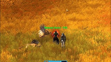 SWTOR - Juggernaut Rage Build PVE