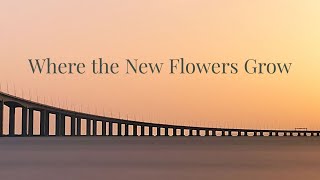 Where the New Flowers Grow -  Bo the Drifter. [ #music #lyrics ]