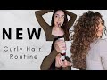 My Curly Hair Routine | Without my Favorite Denman Brush! 3a/2c Curls