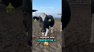 #Dios#Diostebendiga#diosesmicasa #amor #diosesbueno #palabradios #diosesamor #reflexion #oraciones