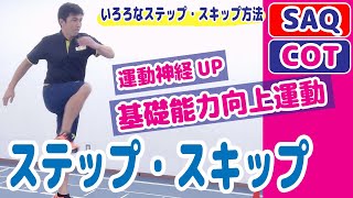 【ステップ・スキップ】運動神経UP／リズム・連結能力向上／運動の基礎能力を向上しよう！＼SAQ・コーディネーション運動／幼児・小学生・中学生・高校生向け