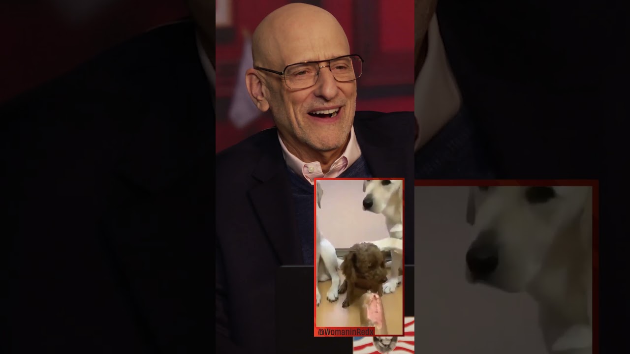 These Dogs Are Filthy RATS