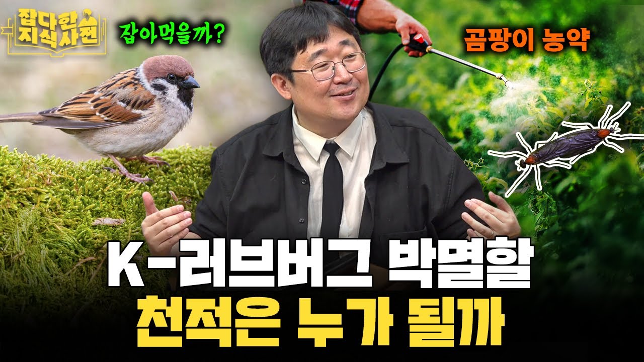 매년 점점 늘어날 러브버그, 정확히 무슨 도움을 주길래 익충이라는 걸까?