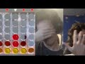 Losing BRAIN CELLS in Four in a Row - 51 Worldwide Games #4 (w/ Simeon)