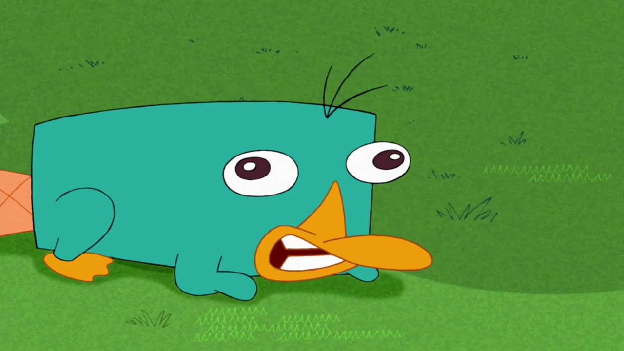Platypus Noises YouTube platypus-noises-youtube