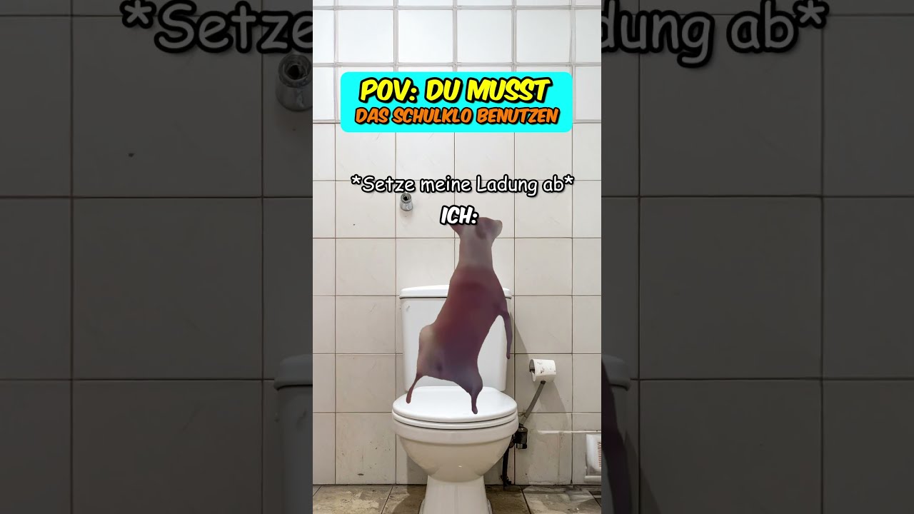 PoV Du MUSST Das Schulklo Benutzen Katzenvideos Schule Ferien