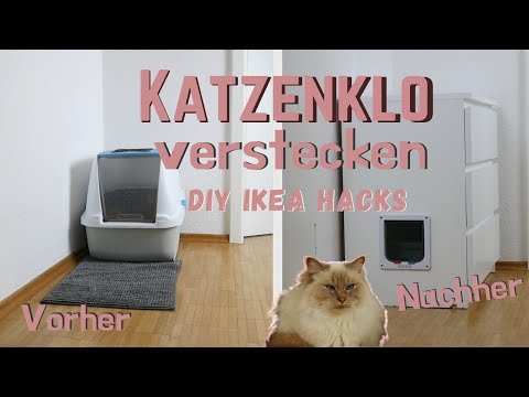 Video: DIY Katzenklo Lufterfrischer