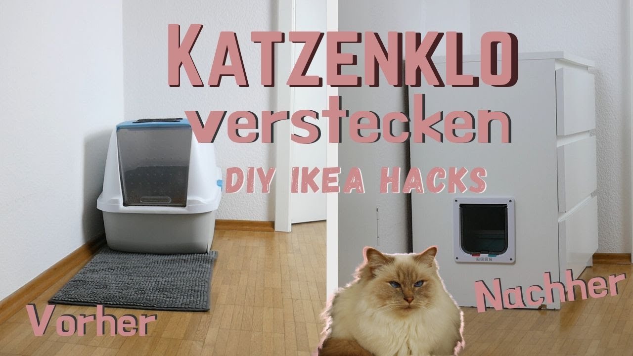 Katzenklo dekorativ verstecken - Meine Ideen und Tipps