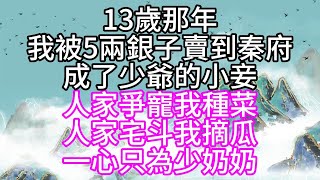 13歲那年我被5兩銀子賣到秦府成了少爺的小妾人家爭寵我種菜人家宅斗我摘瓜一心只為少奶奶【幸福人生】