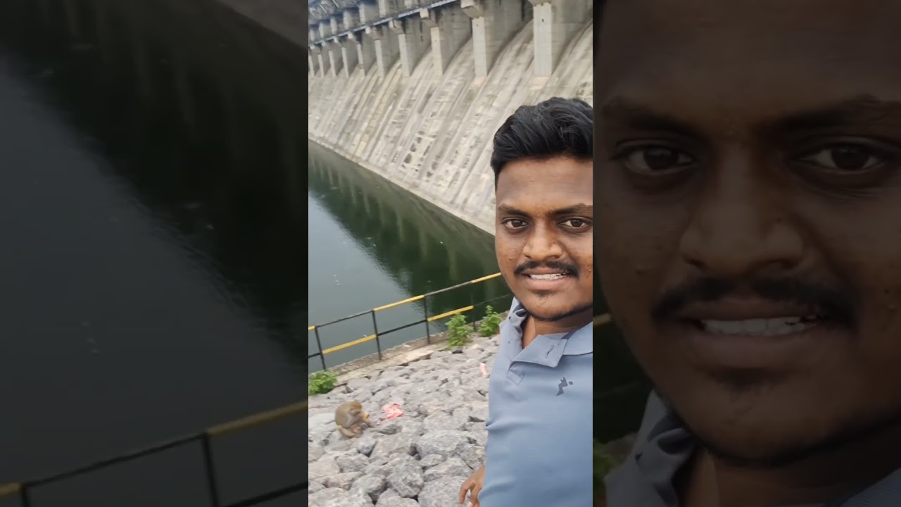 🥵 wild life at mid manair 