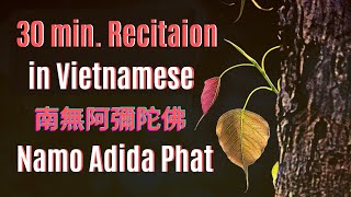 Nembutsu 念佛 No.13 | Niệm Phật | Namo Adida Phat | Vietnamese | 南無阿彌陀佛 | Pure Land Buddhism