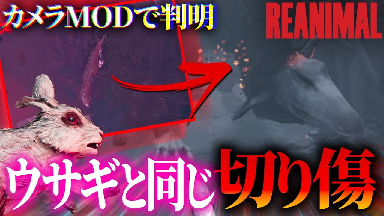 【考察】“カメラMOD”を使って最初から隠しエンドまでストーリーの裏側を探索！！【REANIMAL】【リアニマル】【バグ】