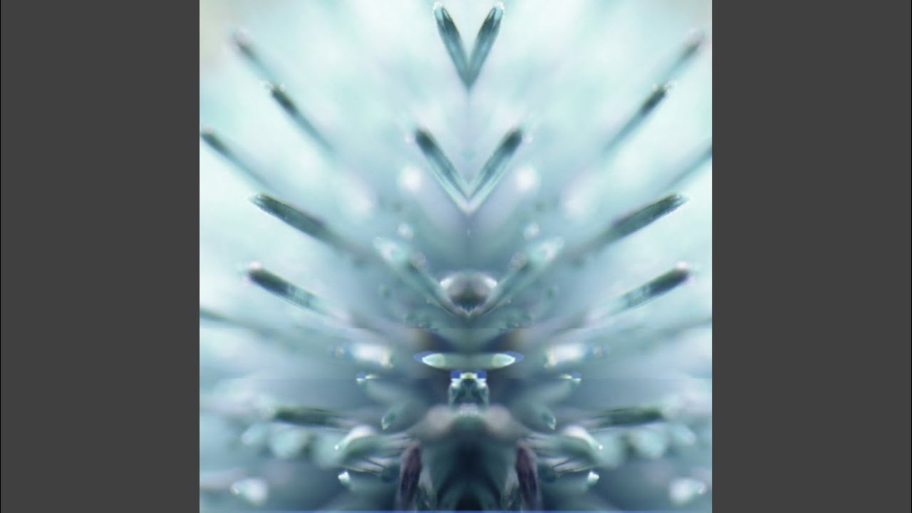 Watch Textural Radiation on YouTube Watch Textural Radiation on YouTube