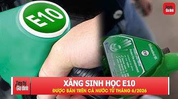 Xăng sinh học E10 được bán trên cả nước từ tháng 6/2026 | TTGĐ