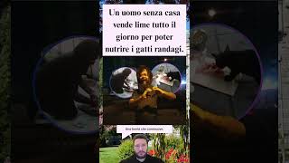 Senzatetto vende lime tutto il giorno per nutrire gatti randagi 🍋🐱