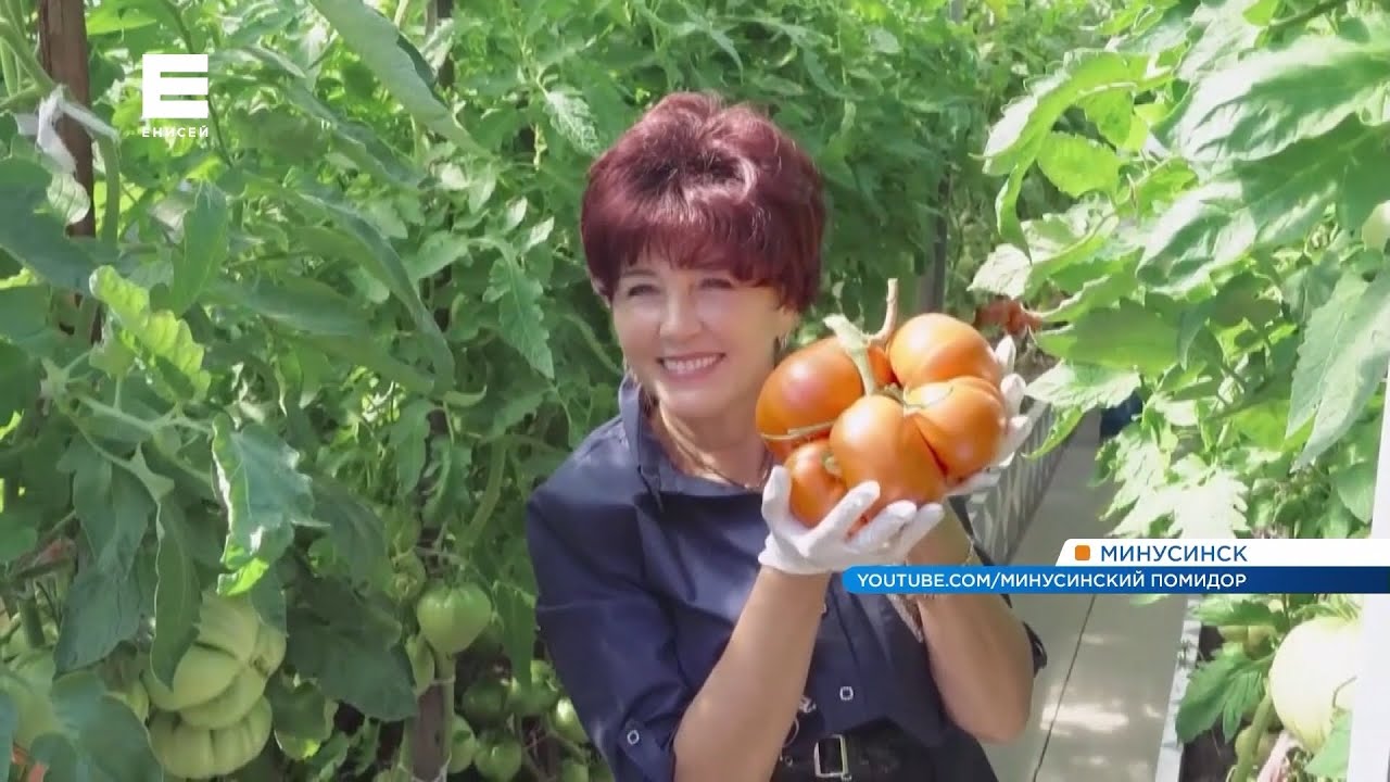 Затонировать машину минусинск