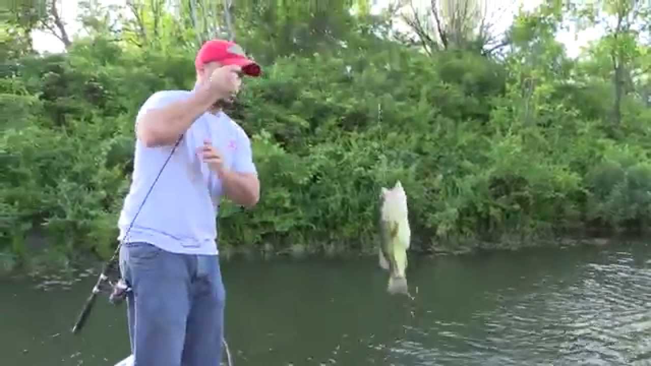 KABOOM swimbaits are so easy to catch Bass with! 