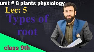 Types of root | Urdu Hindi lecture| bio for all 