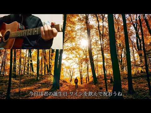 シグナル/20歳のめぐり逢い/ギター🎸弾き語り(歌詞入)