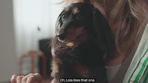 Quick design tips with the Canva team ✏️