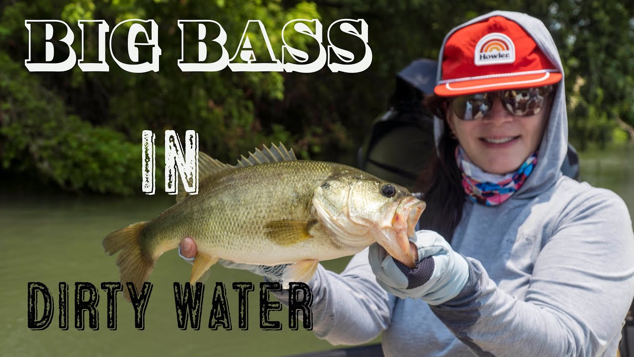 Big Bass in Dirty water