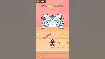 White Tiger and Ninja HIDE & SEEK LEVEL 744 || Cat Escape Infinity || #cat #catgame #hide
