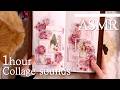 [ASMR] コラージュの音 | 作業,勉強,睡眠 | collage sounds | relaxing sounds