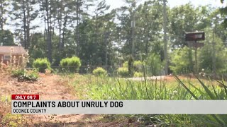 Residents complain about unruly dog in Upstate neighborhood